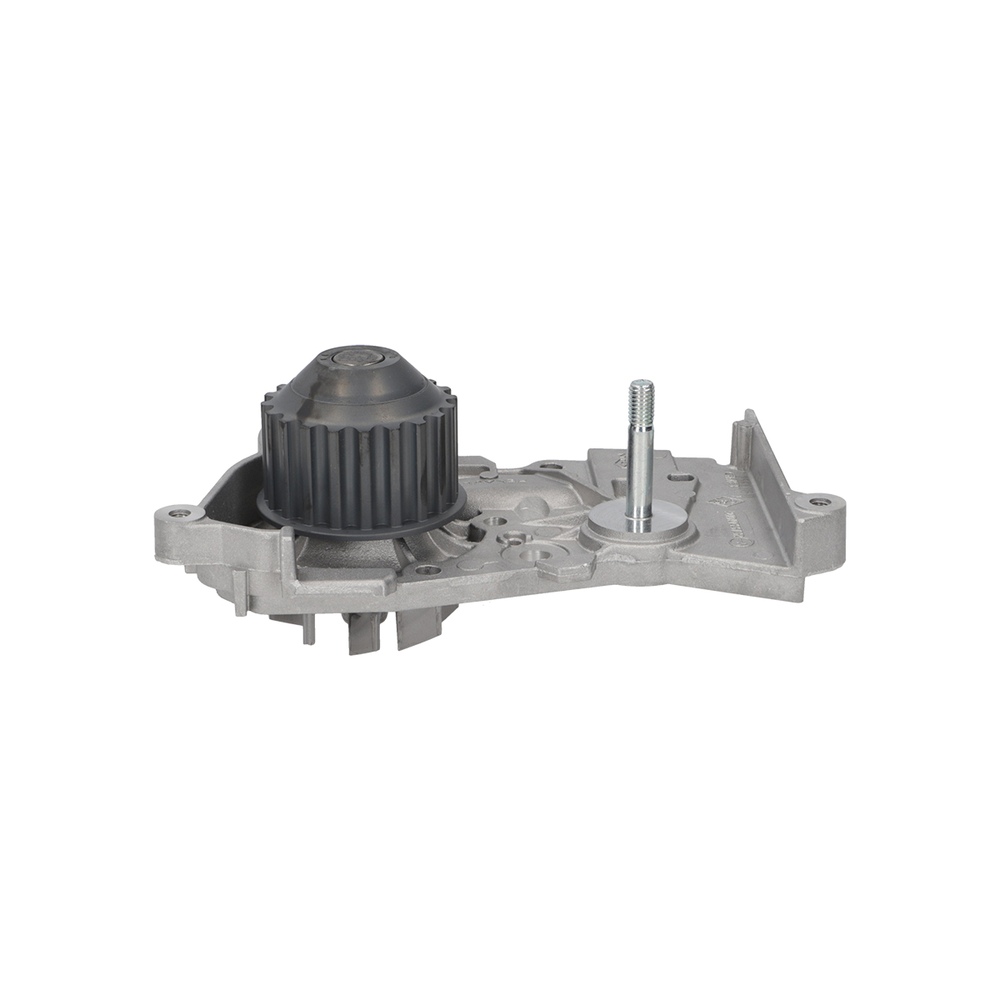 BOMBA DE AGUA Renault